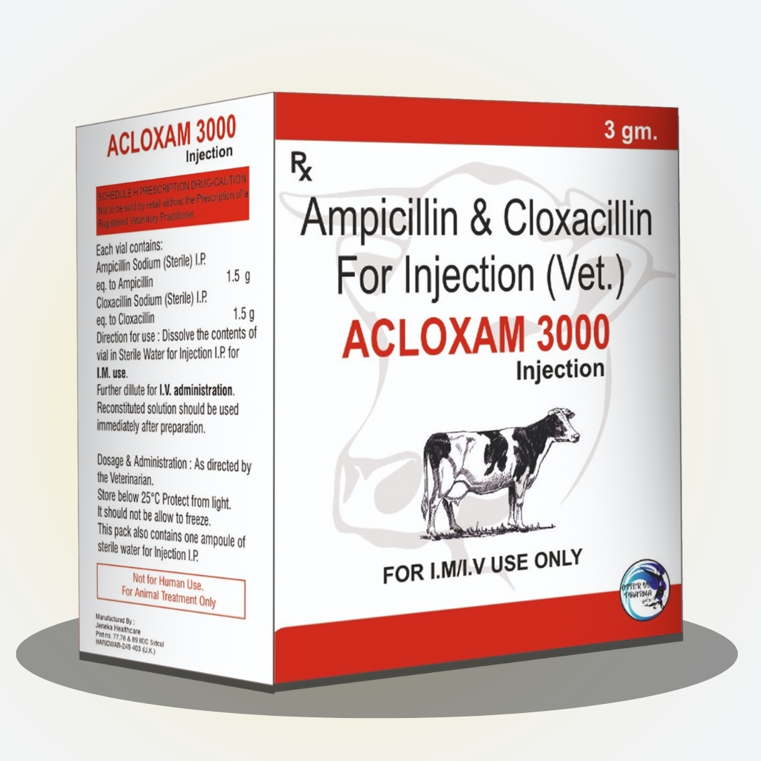 ACLOXAM 3000