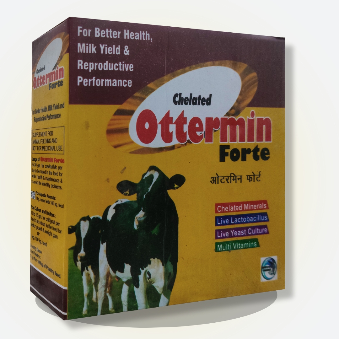 OTTERMIN FORTE